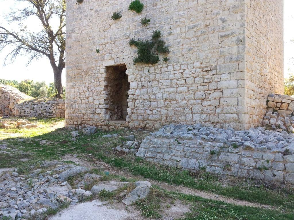 Crystal-Clear Waters