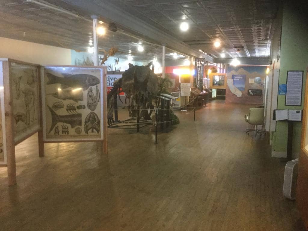 Interactive Kids' Zone