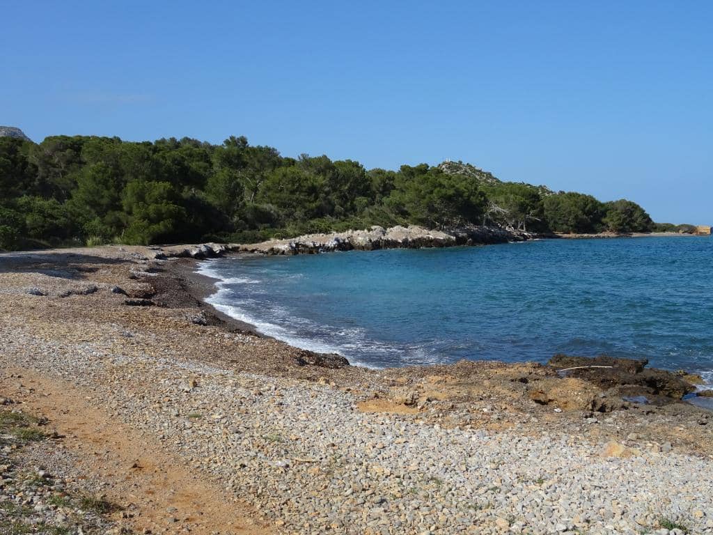 Pebble Beach Serenity