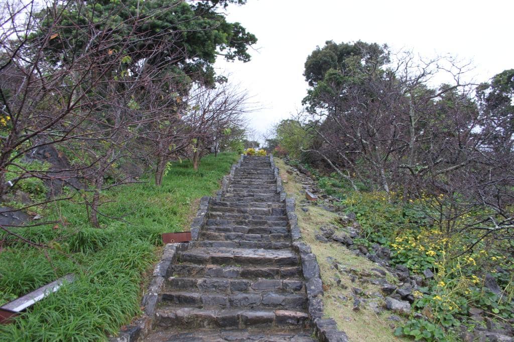 Panoramic Coastal Views