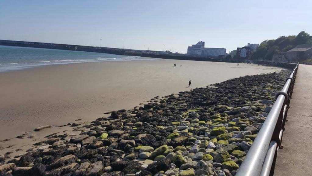 Harbour Arm Delights