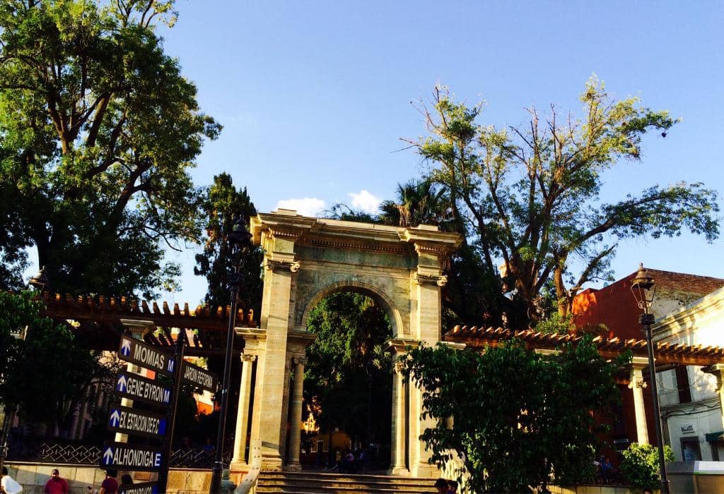 Terrace Cafés and People-Watching