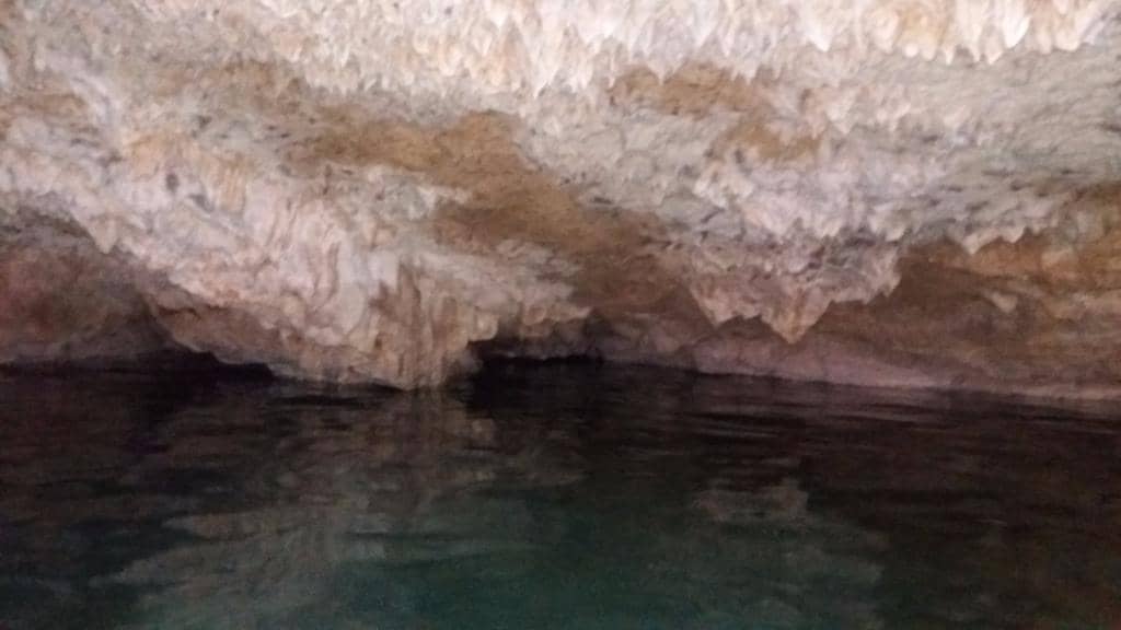 Peaceful Jungle Ambiance