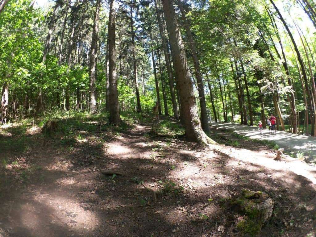 Adventure Playground