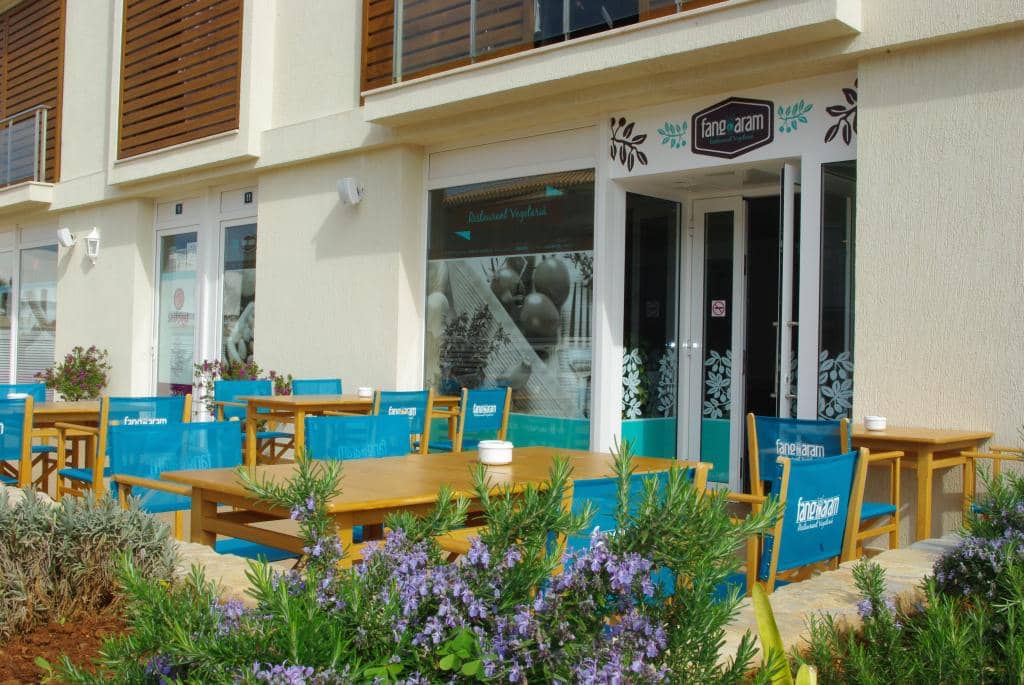 Seaside Ambiance and Views