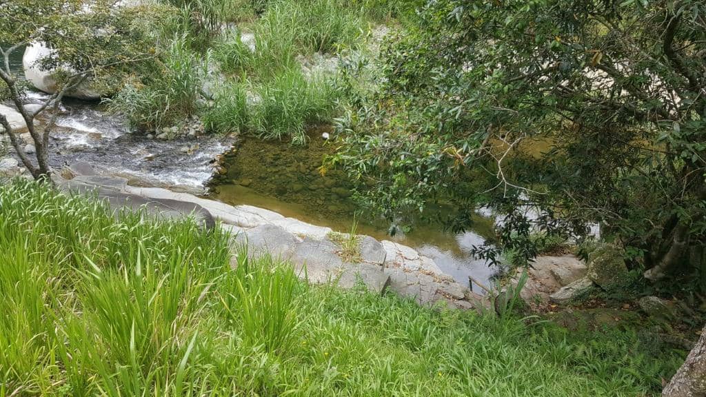 Refreshing River Swim
