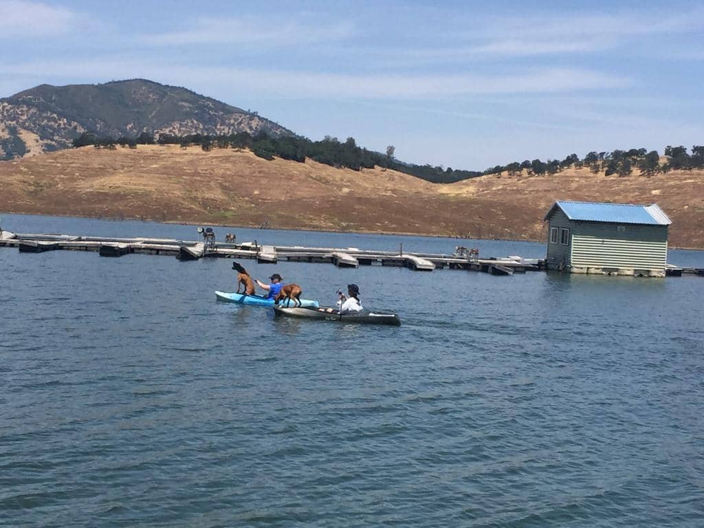 Sport Fishing Adventures