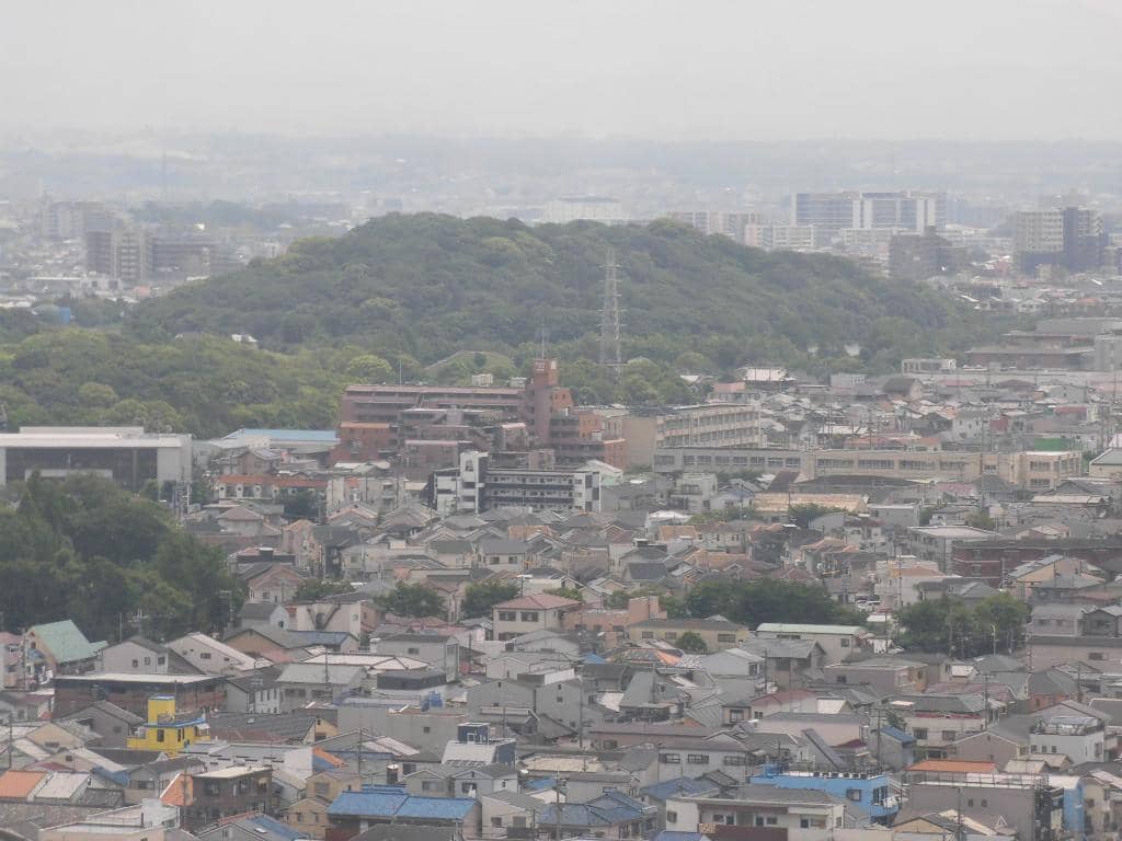 Surrounding Parklands