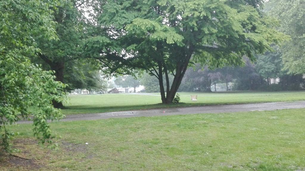 Idyllic Walking Paths