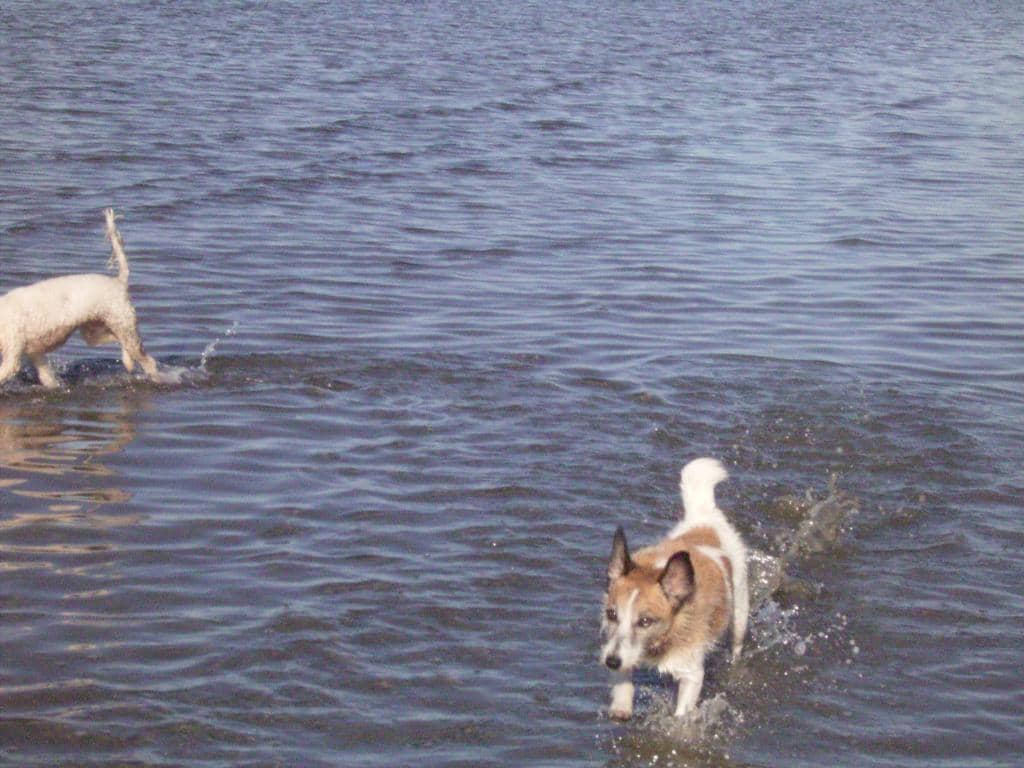 Scenic Coastal Drives