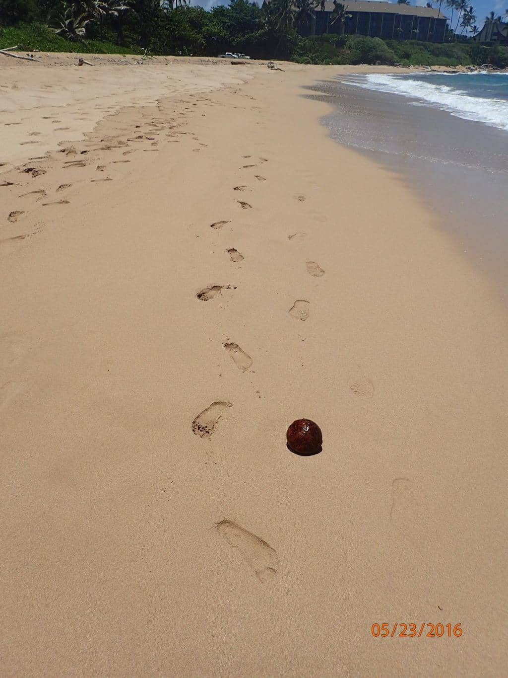 Wailua River Kayaking