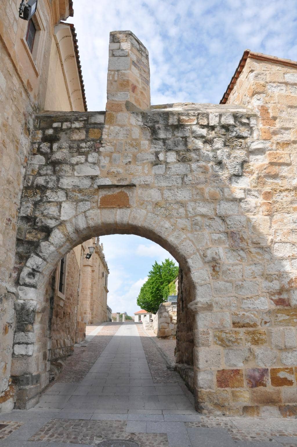 Vertical photo