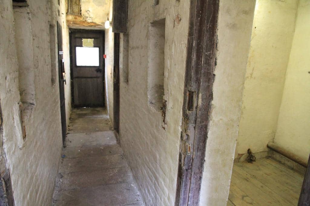 Special Events & Performances