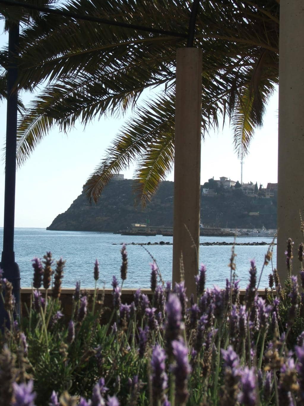 Beachfront Dining & Bars