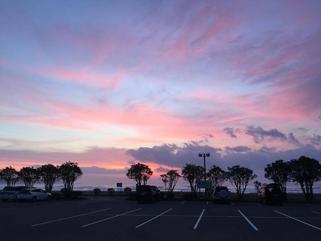 Expansive Sandy Shoreline