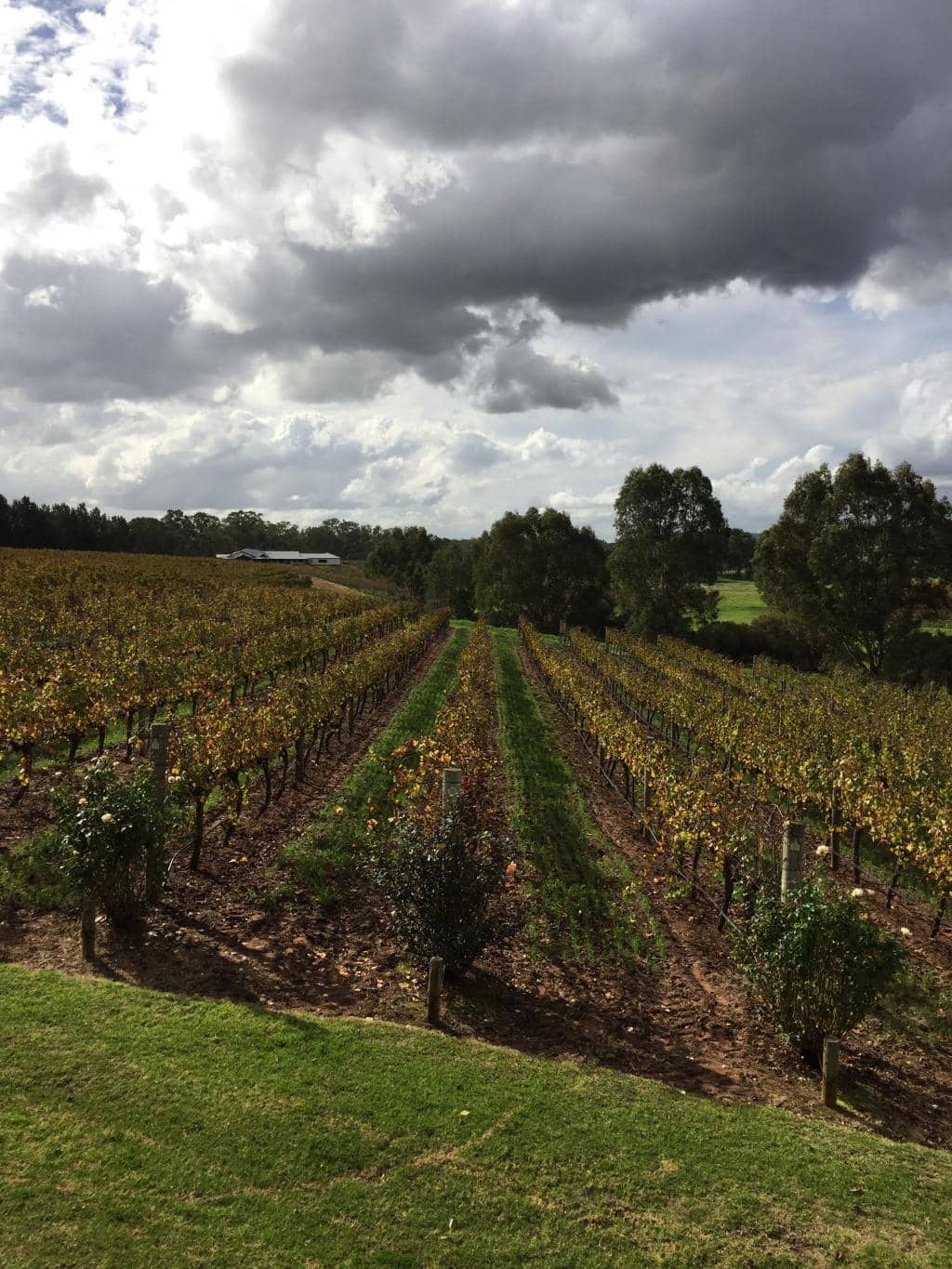 Exceptional Fine Dining