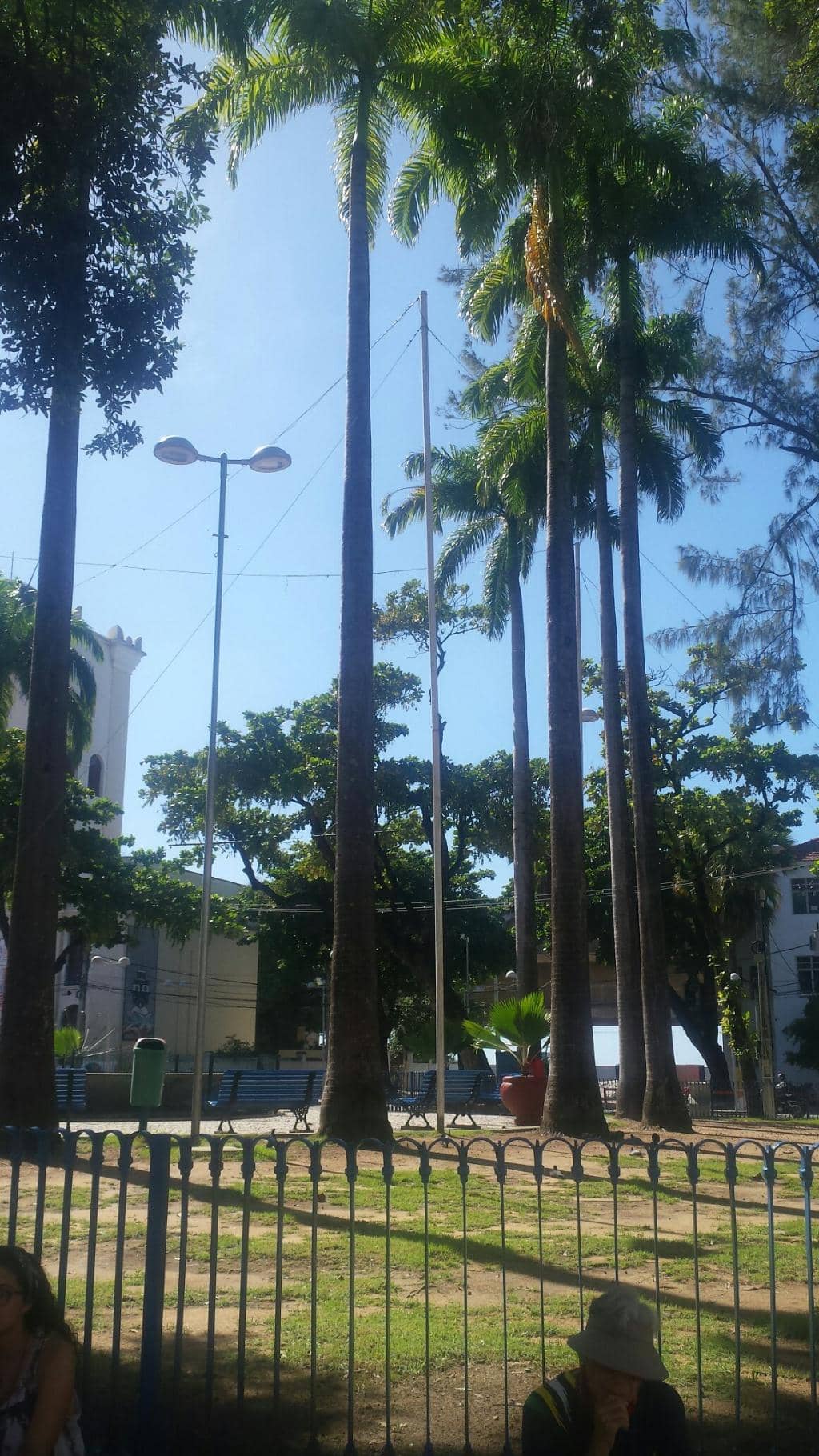 Vertical photo