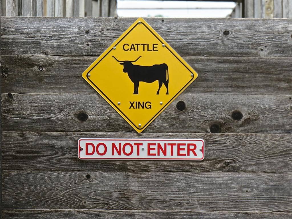 Scavenger Hunt Adventure