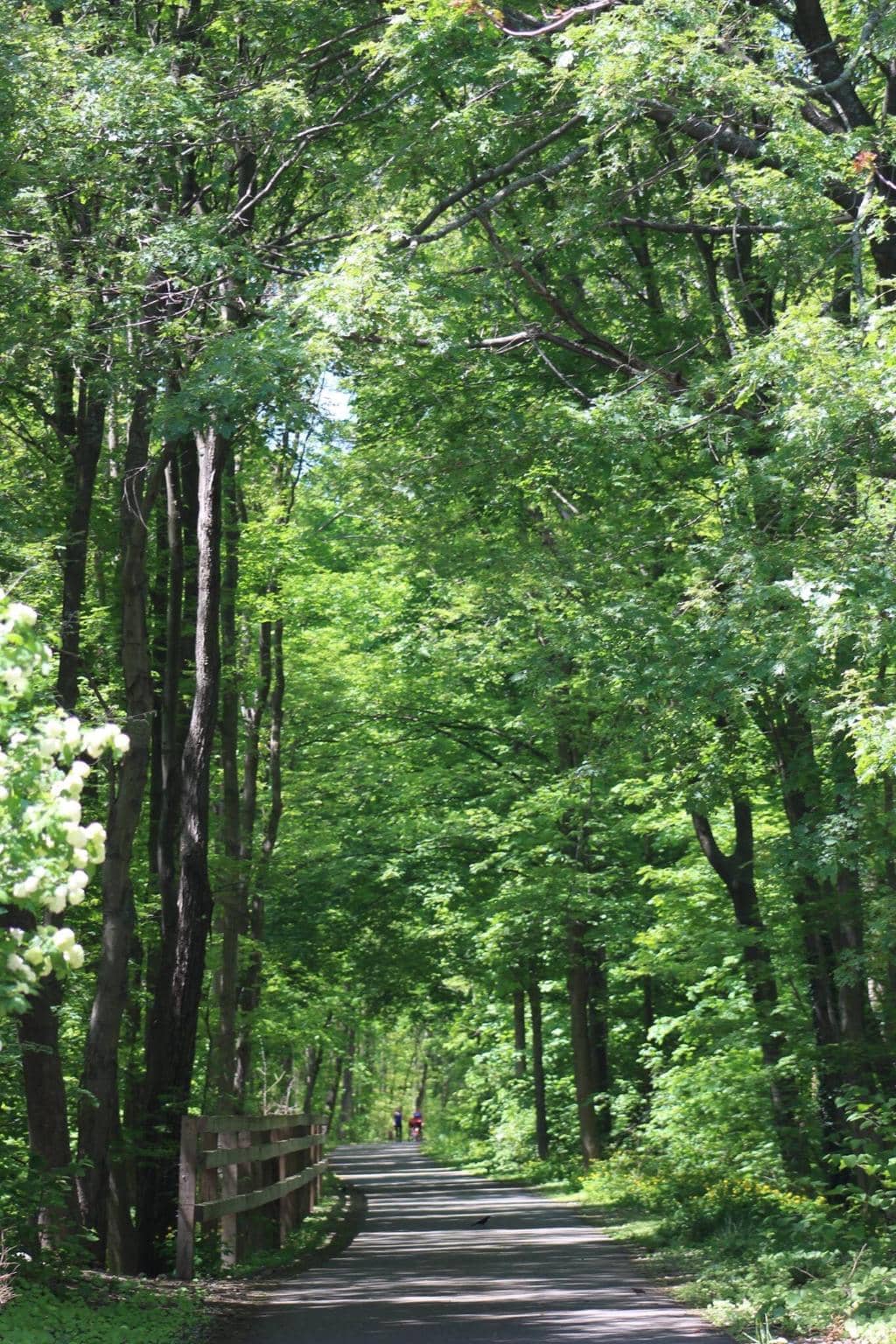 Sudbury & Mass Central Trail Connection