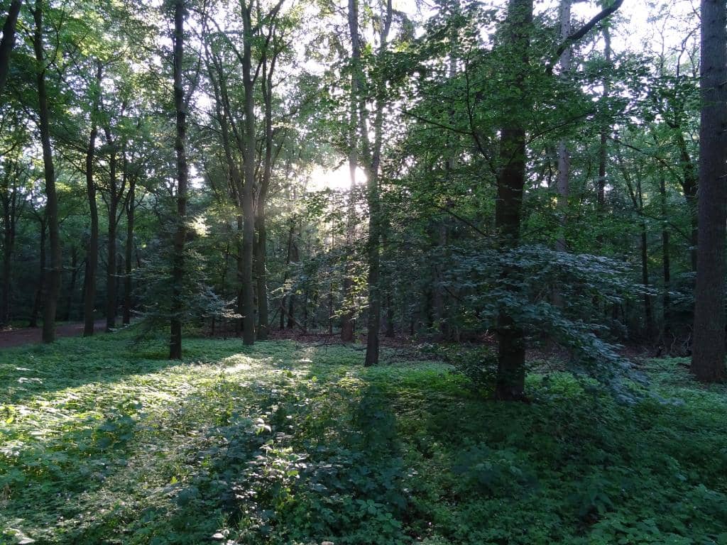 Picturesque Canals and Waterways