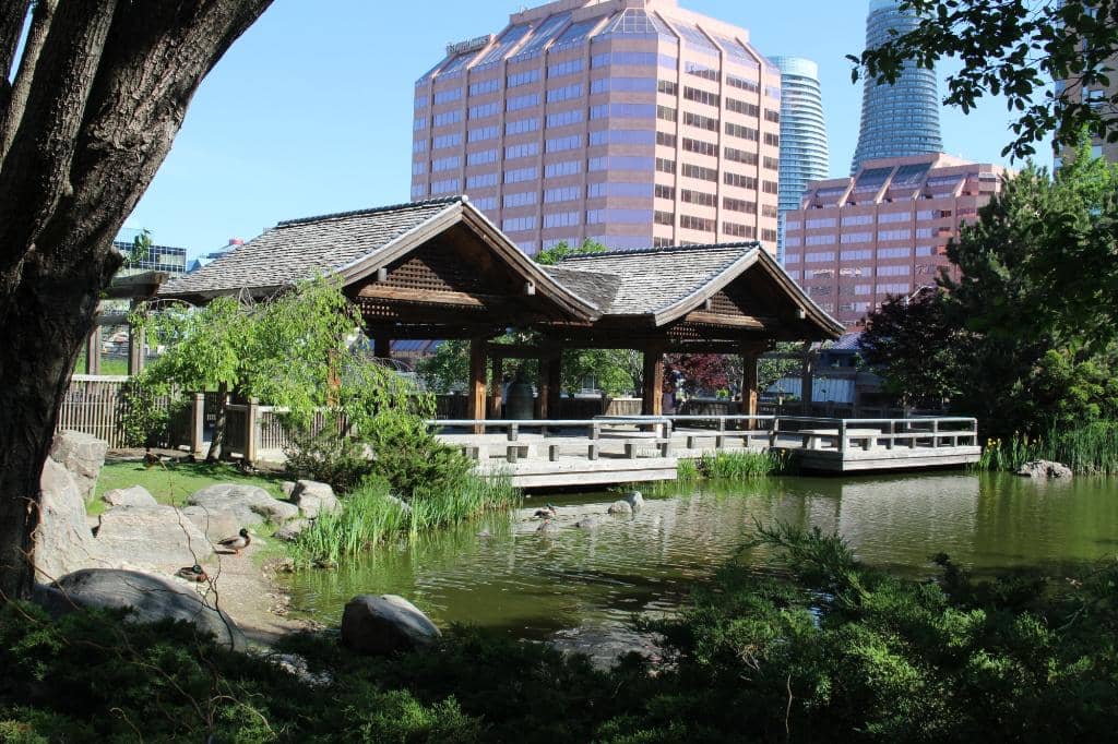 Japanese Garden Serenity