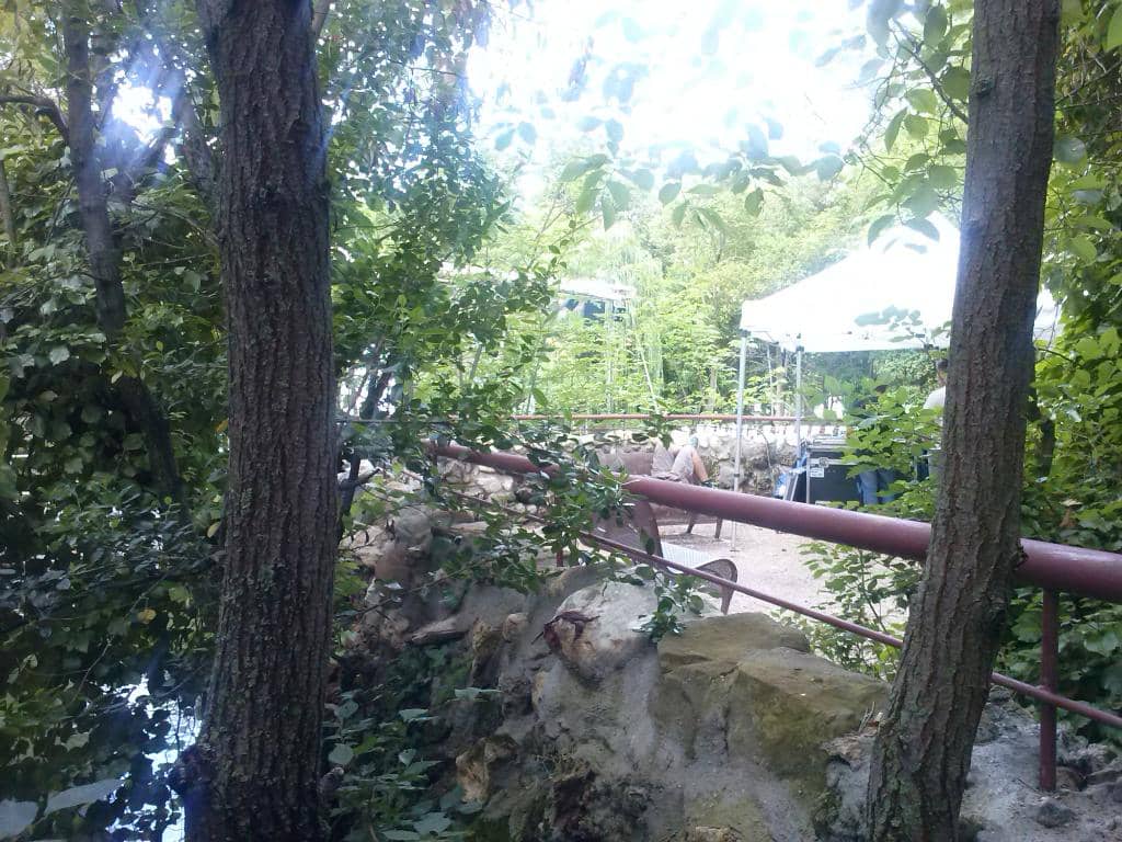 Local Gathering Spot