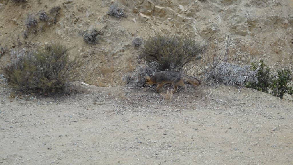 Hermit Gulch Lookout