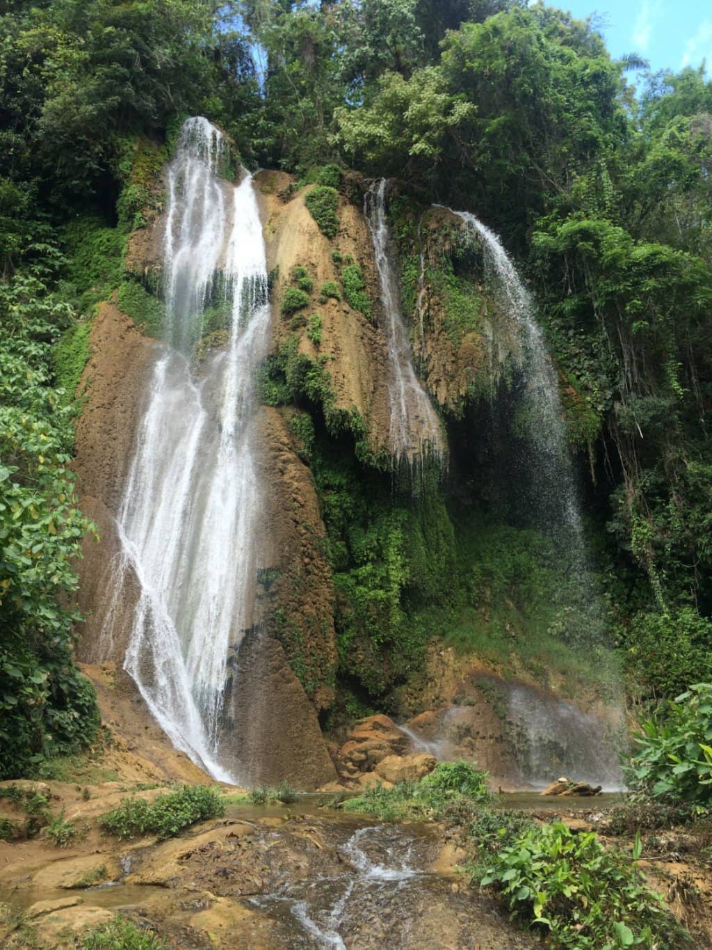 Vertical photo