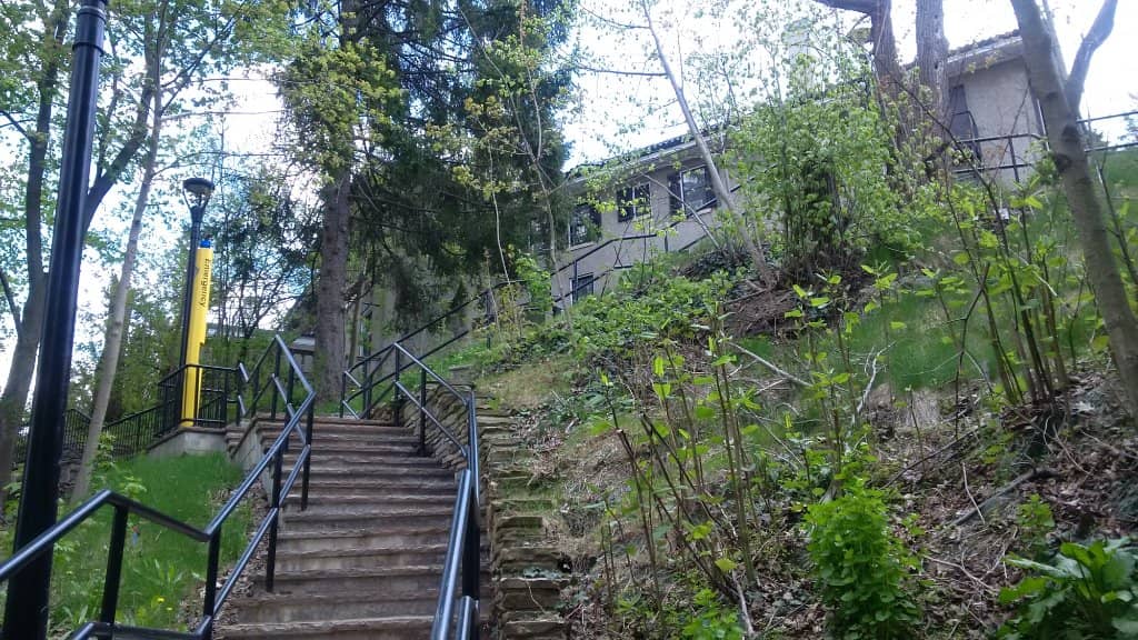 Diverse Academic Programs