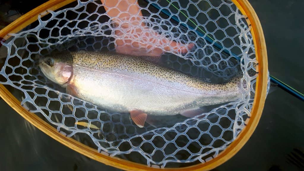 Gorge Trail to Riverbed
