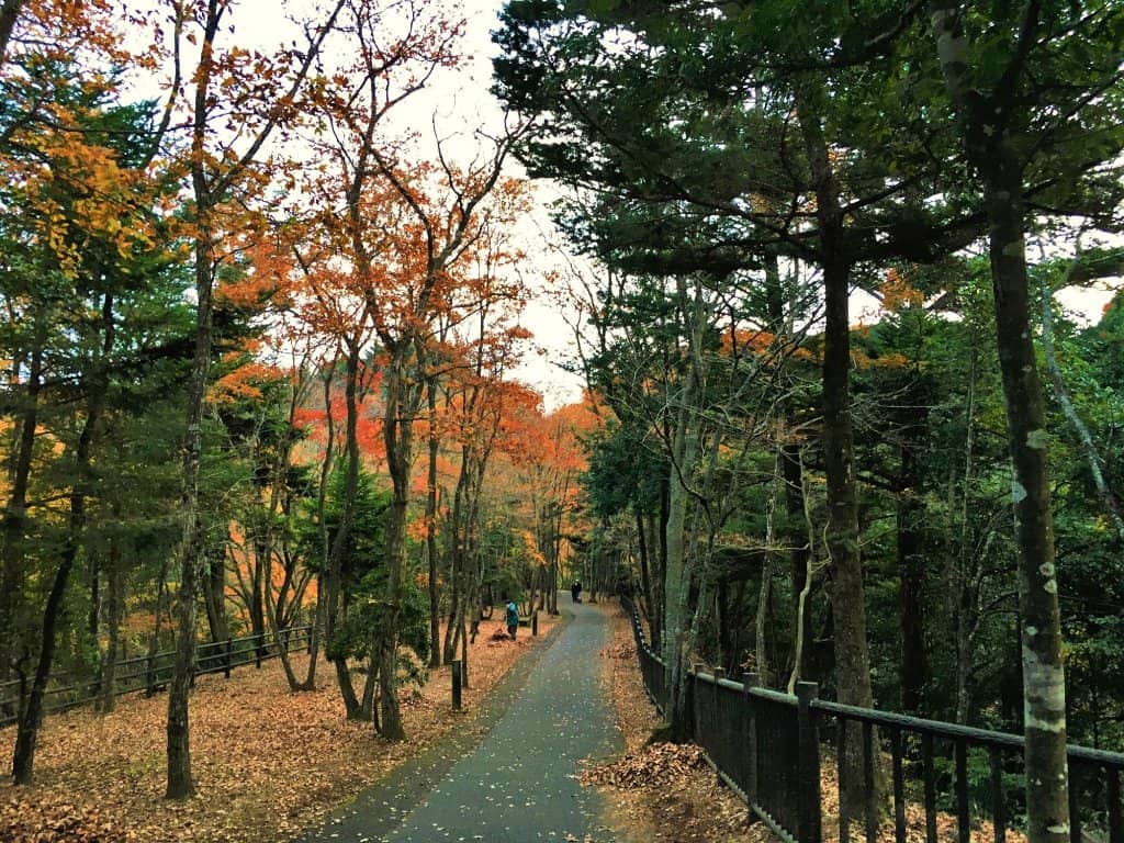 Scenic Hiking and Natural Landscapes