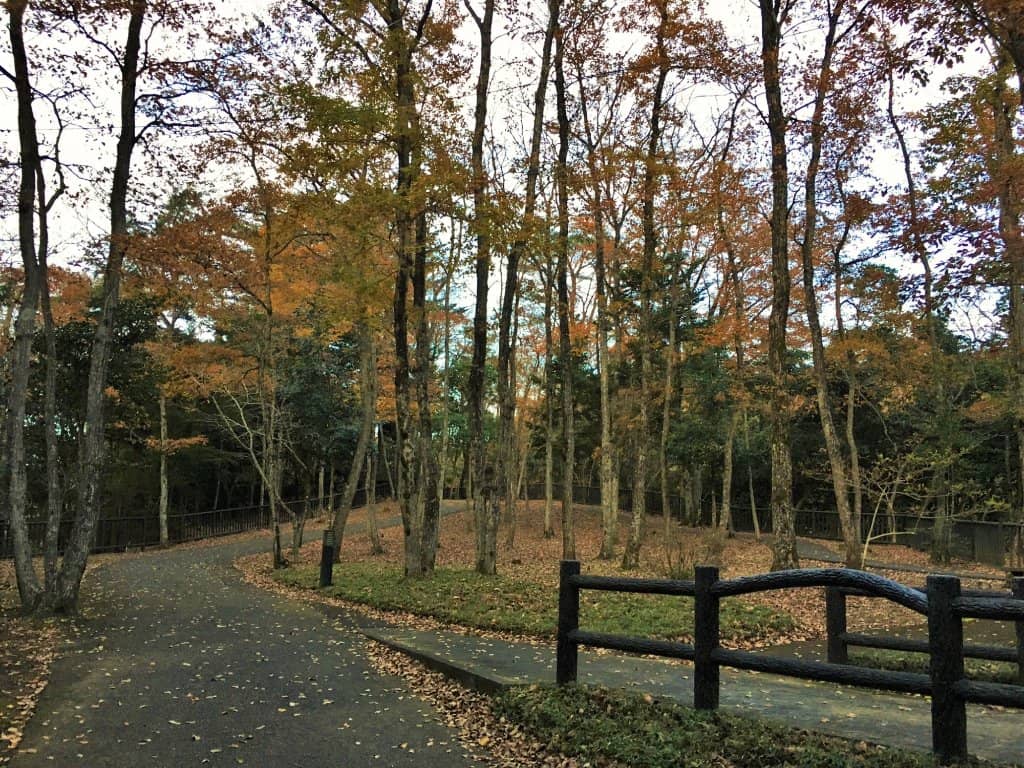 Nomizo Waterfall's Serene Beauty