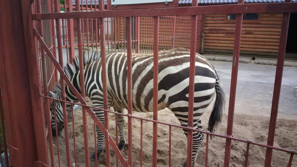 Modernized Enclosures