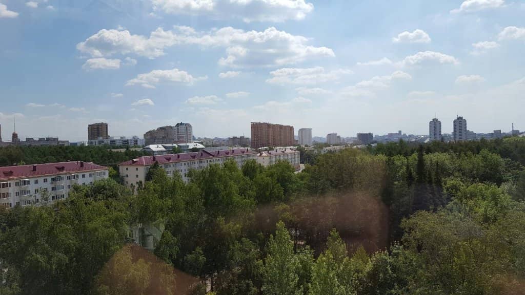 Serene Walking Paths