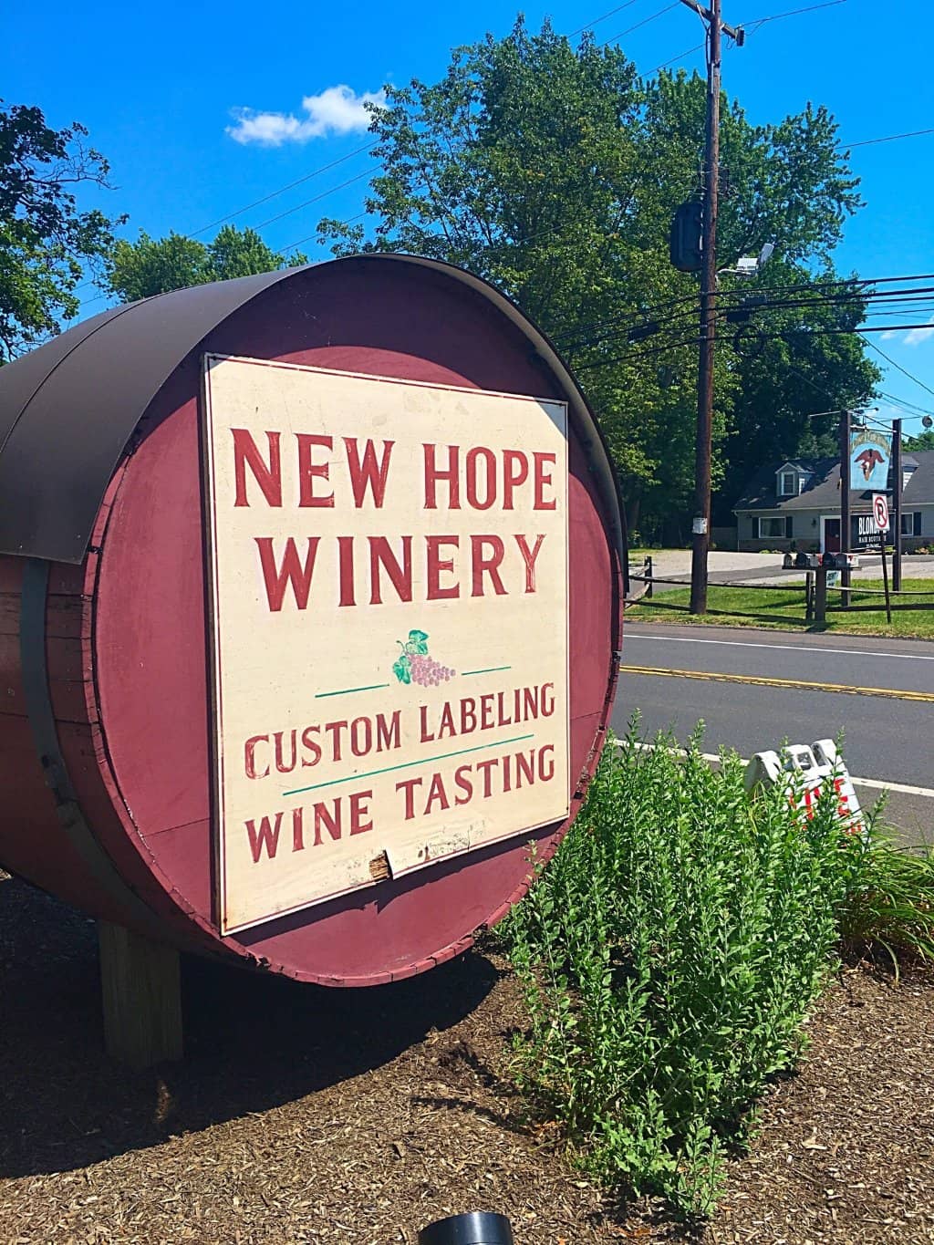 Farm-to-Table Dining