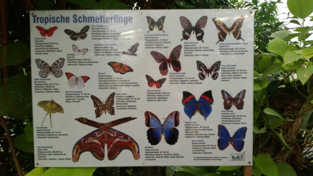 Interactive Science Experiments