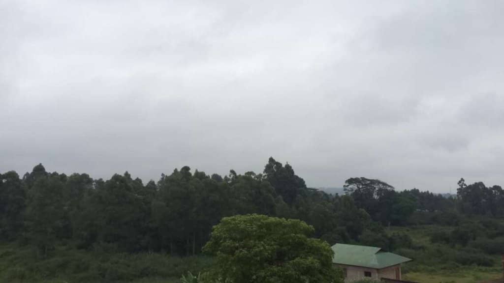 Mysterious Mau Mau Caves