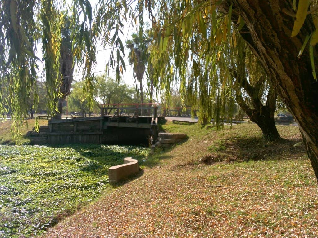 Weekend Market Vibes