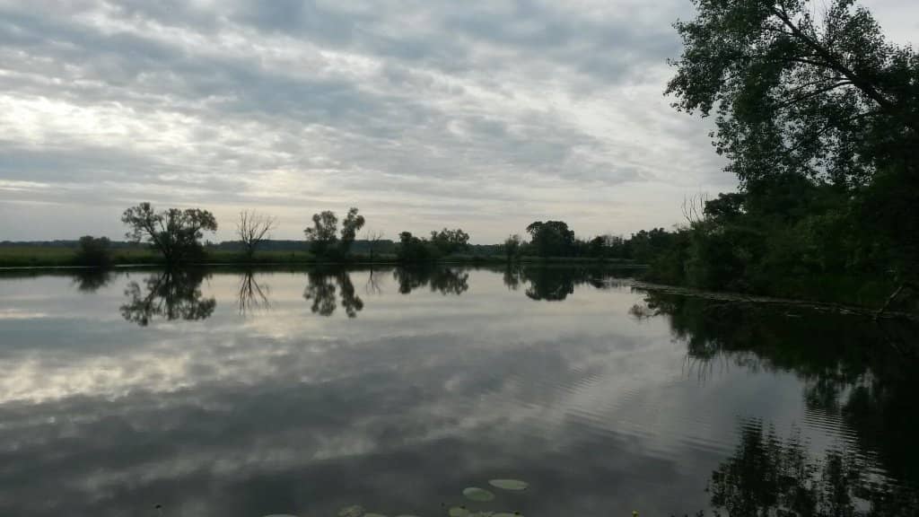 Nighttime Illumination