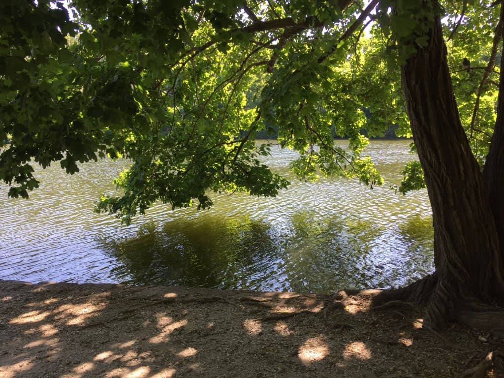 Fishing Jetty & Beach Cove