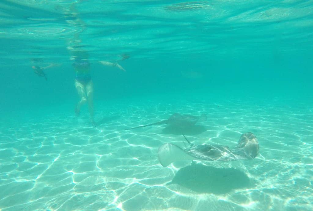 Crystal-Clear Waters