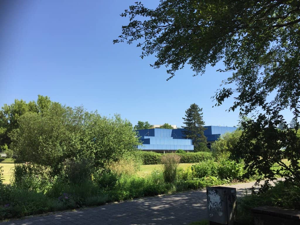 Family Fun with Water Jets