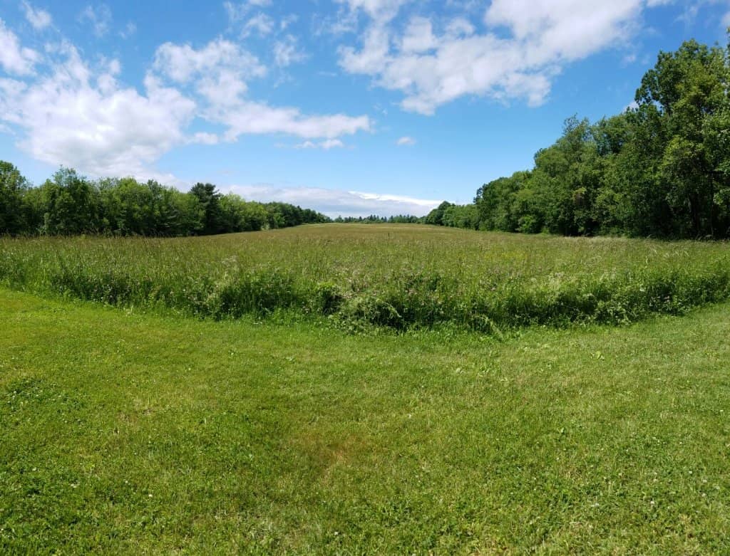 Birdwatching Opportunities