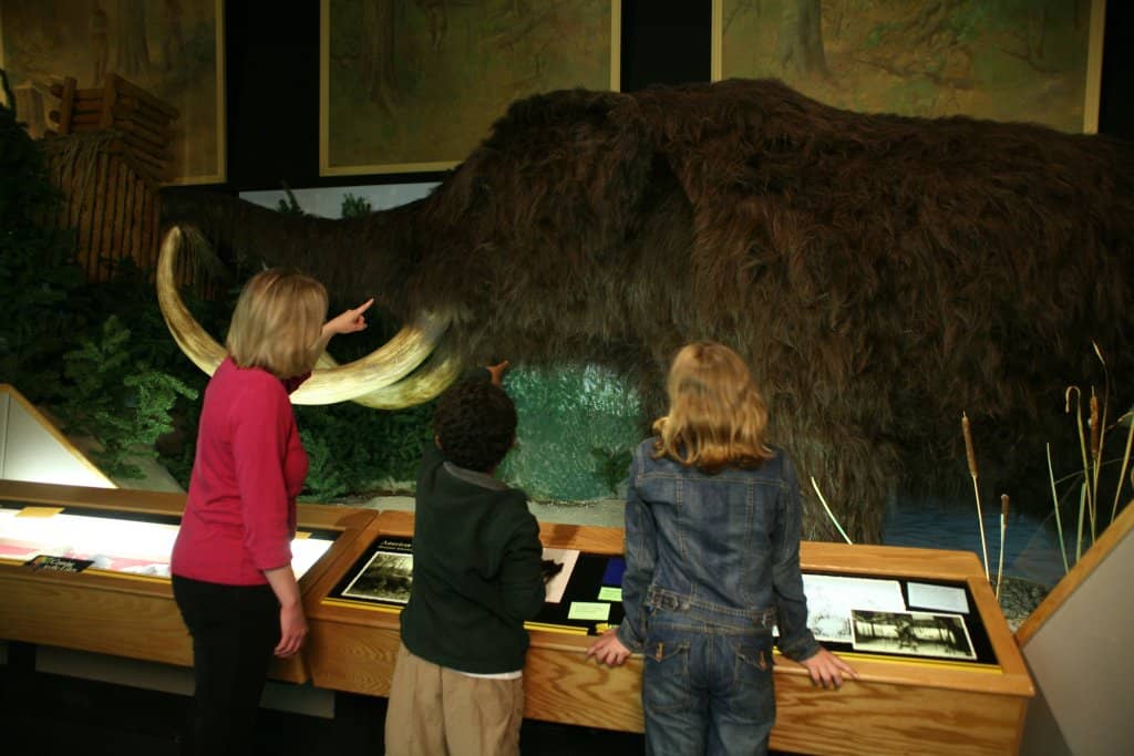 Native Animal Exhibits
