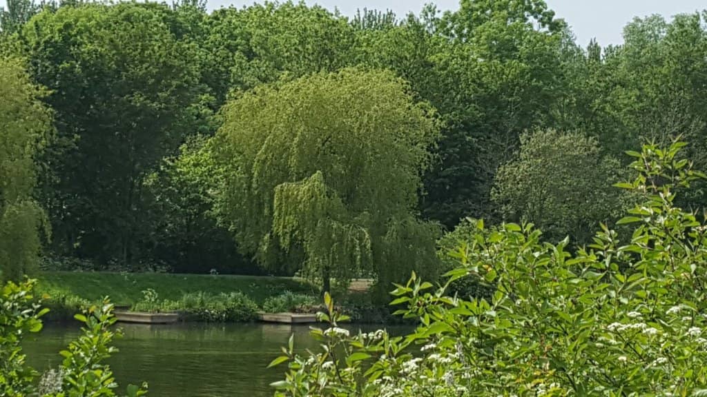 Adventure Playgrounds