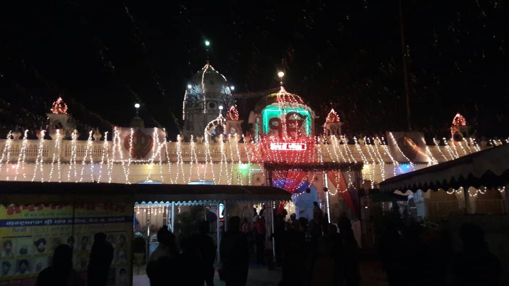 Miraculous Mango Tree