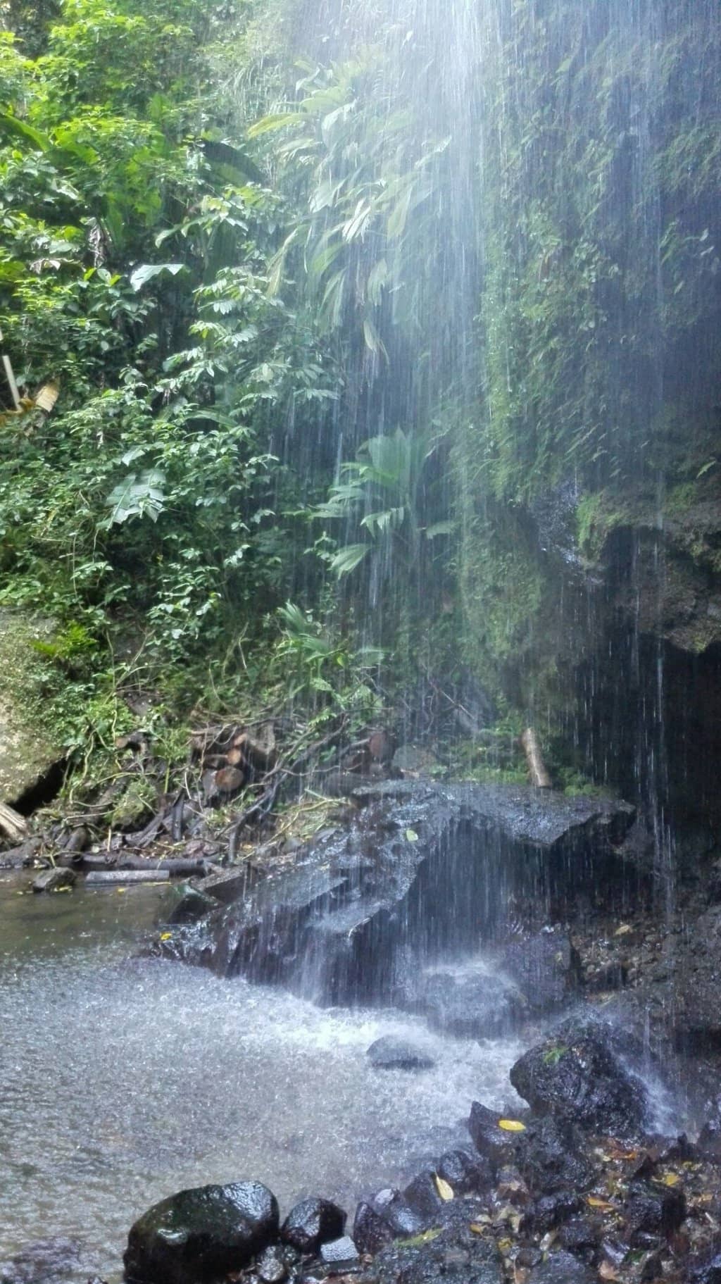 Vertical photo