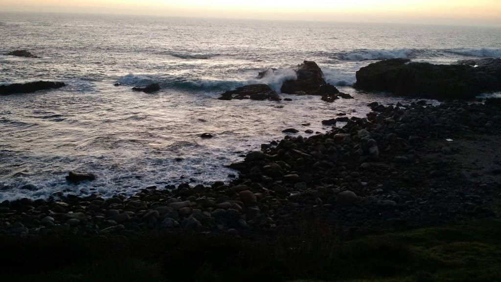 Local Seafood Delights