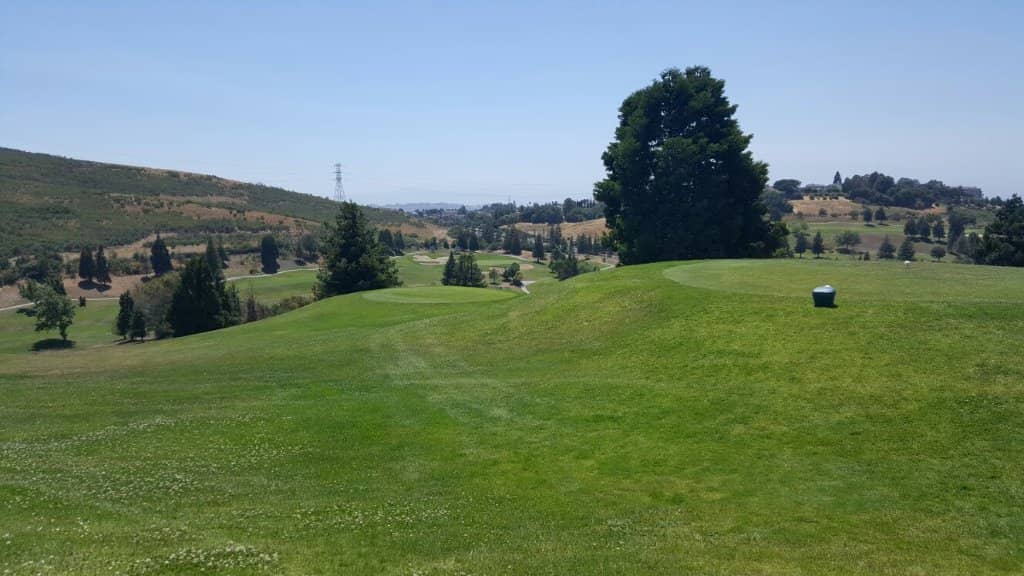 Picnic and BBQ Areas