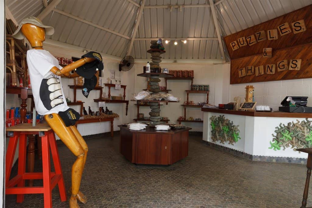 The Illusionist's Garden